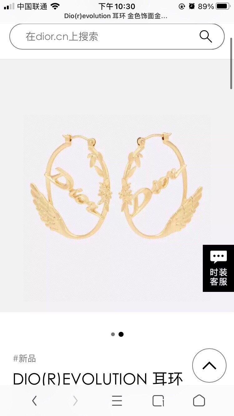 chr1st1an D10r earrings